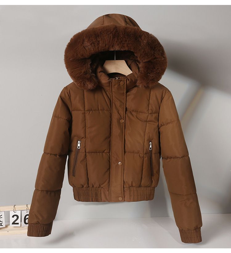 Women's Clothing short parka plus velvet thickened student cotton jacket large fur collar flat coat coat_voghion.com