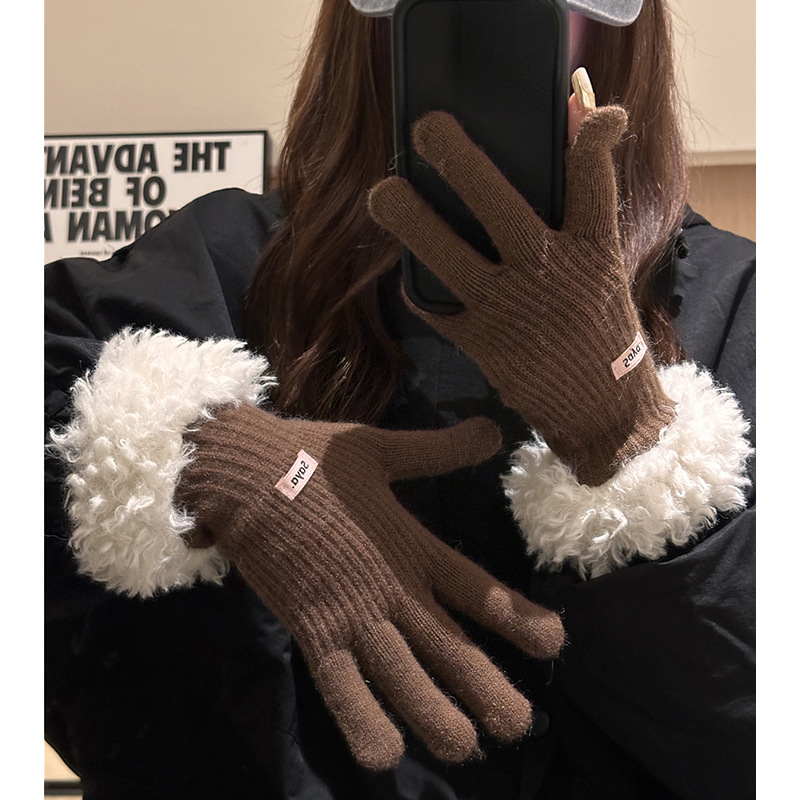 Women's Winter 2025 New Thickened Warm Knitted Finger Gloves Touch Screen Compatible Tide Models_voghion.com