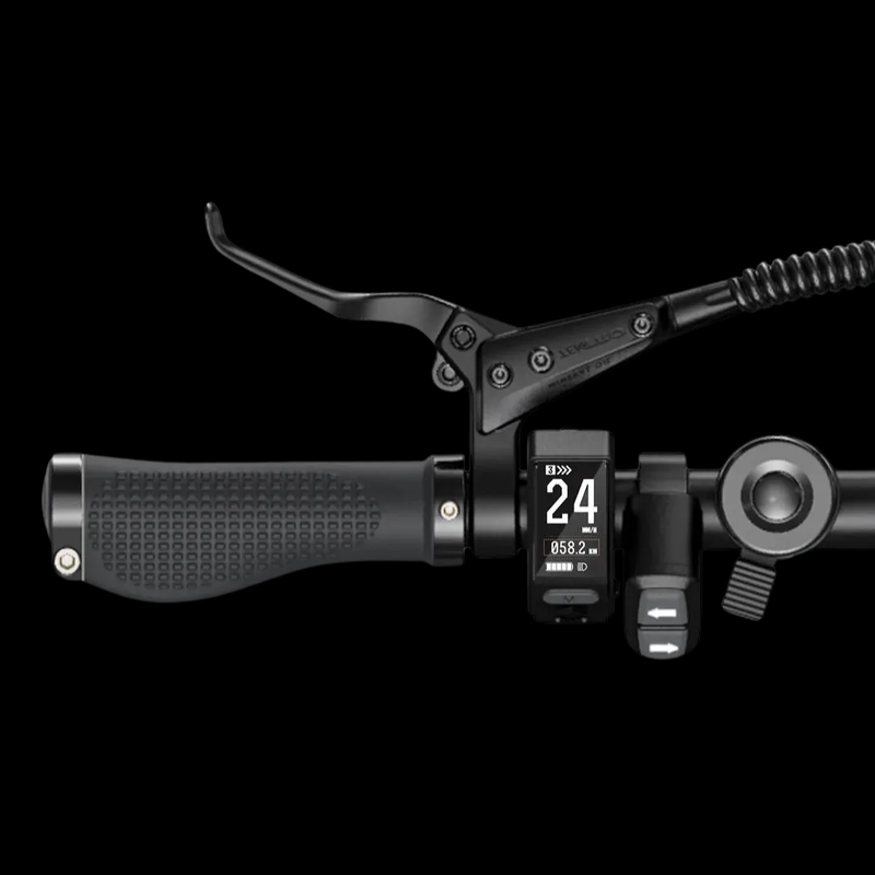 ENGWE P20 Klappbar City e-Bike 250w fir Pendelen Dréimoment Sensor 36V9.6AH_voghion.com