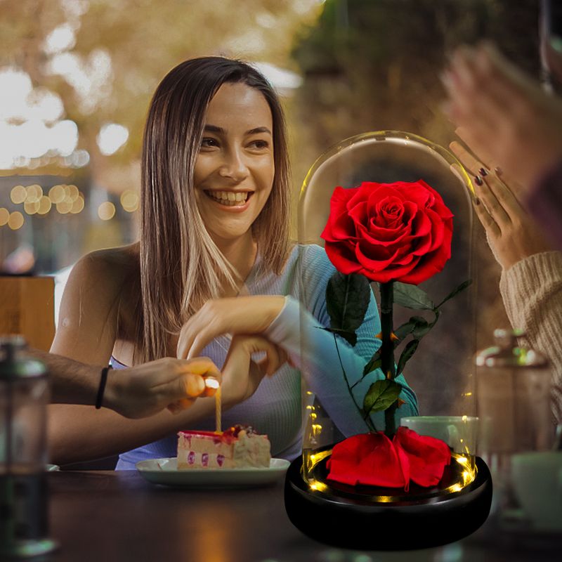 Eternal Rose Beauty and The Beast Preserved Rose Flower In Glass Dome LED Light Forever Gift for Valentine Mother Day Christmas_voghion.com