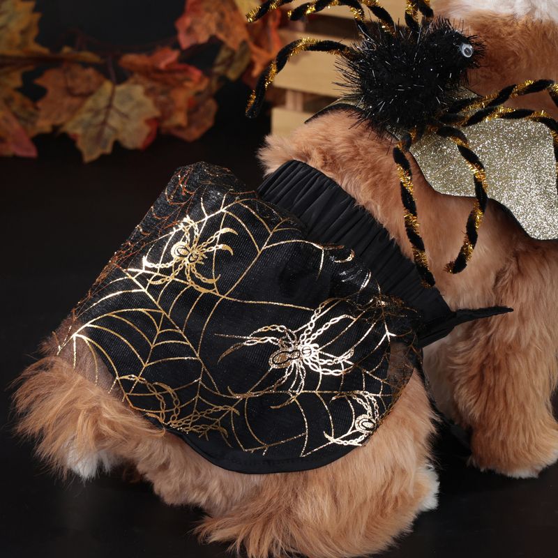 New Halloween Pet Dog Clothes Horror Spider Wings Transformation Skirt Set_voghion.com