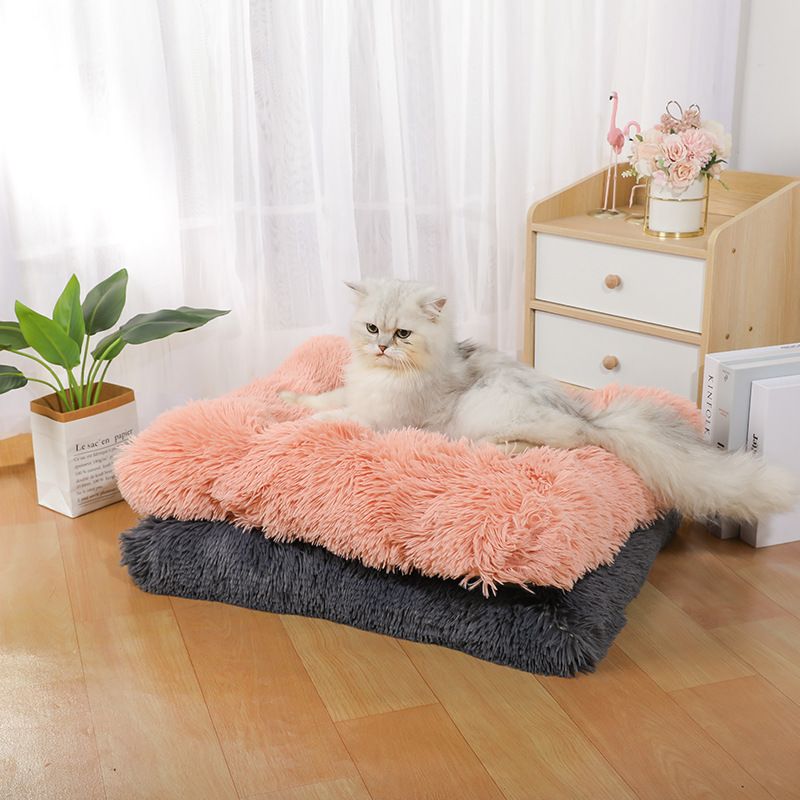 All-season dikke, lange pluche voor kleine en middelgrote honden, benodigdheden, groot honden- en kattenbed, huisdiermat_voghion.com