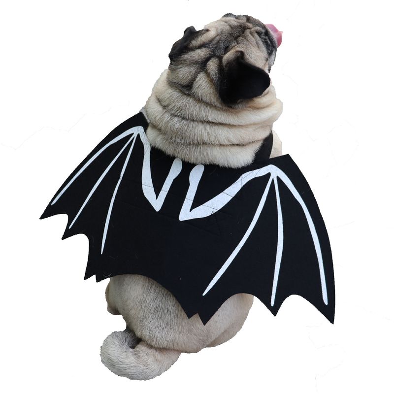 Costume di Halloween per la trasformazione di un cane o un gatto in un pipistrello, con ali creative e personalità eccentrica_voghion.com