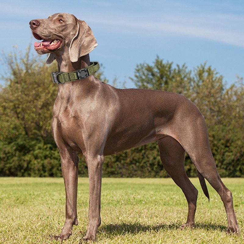 AirTag Posizionamento Anti-Smarrimento Maniglia per Cani di Taglia Grande Collare Tattico da Esterno_voghion.com