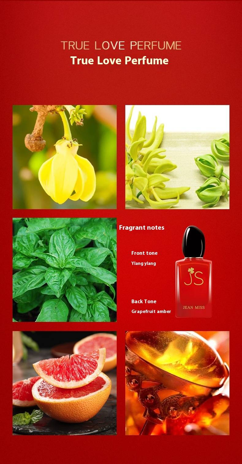 Conjunto de perfumes femininos Classic Beloved_voghion.com