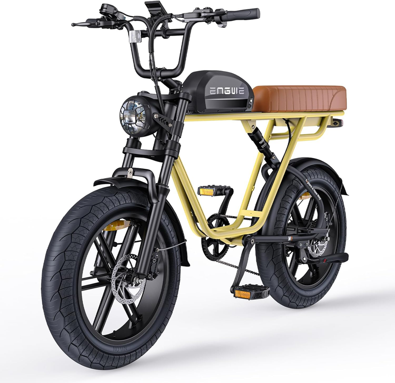 ENGWE M1 Dirt Bike elettrica da 20 pollici con batteria da 48 V15,6 Ah, mountain bike a sospensione completa da 250 W_voghion.com