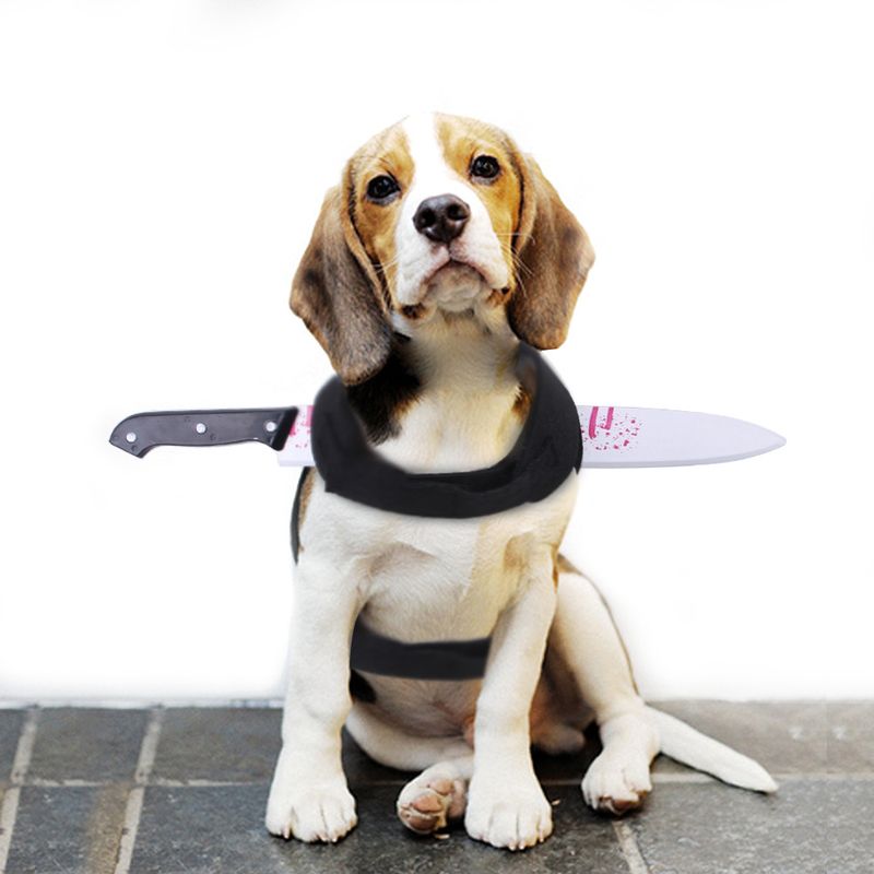 Decorazione per animali domestici di Halloween, vestiti creativi e divertenti, costume da trasformazione per gatti e cani di piccola taglia_voghion.com