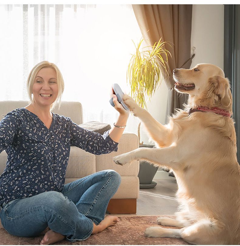 Lime per unghie, Lime per unghie per cani e gatti, Cura delle zampe, Lime per zampe di alta qualità, Animali domestici, Cani, Gatti, Grigio_voghion.com