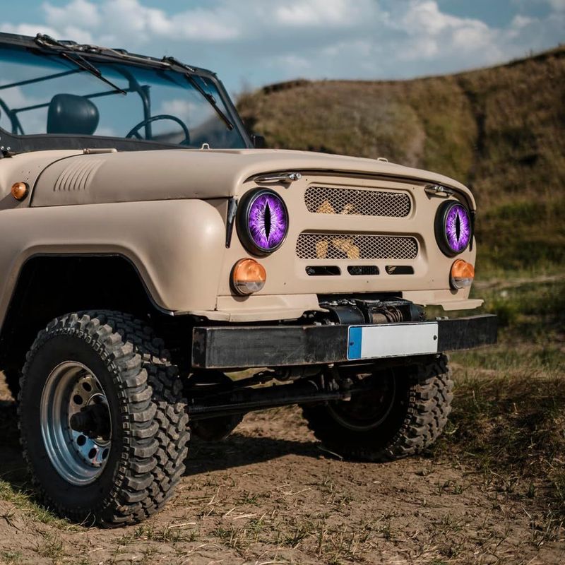 Single Transparent Mesh Wrangler, Beast Eyes, Car Stickers, Headlight Decals_voghion.com