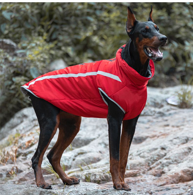Reflective Jacket Autumn Warm Large Dog Clothes Pet Cotton Coat Winter_voghion.com