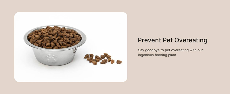 VOLUAS Automatic Cat Feeders - Pet Dry Food Dispenser With Timer, Automatic Cat Feeders With Desiccant Bag, Programmable Portion Size Control_voghion.com