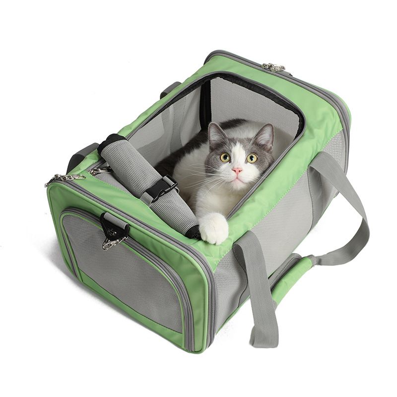 Foldable Breathable Lightweight Cat Travel Handbag Car Carrier Airline Pet Bag_voghion.com