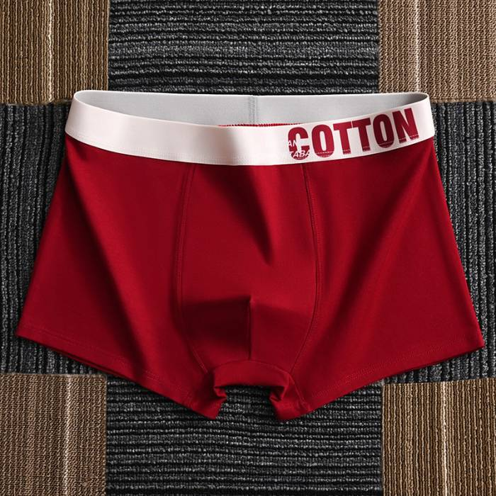 4 bucăți boxer pentru bărbați de înaltă calitate de vară L-5XL_voghion.com