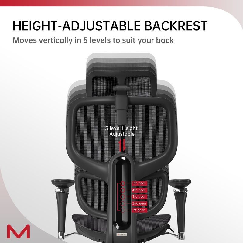 D2 Pro High Back Ergonomic Home Office Chair With DTS Self-Adaptive Lumbar Support, Multi-Adjustable Armrest, Wire Controlled Design, Footrest, 4D Headrest Mesh Office Computer Chair (Black)_voghion.com