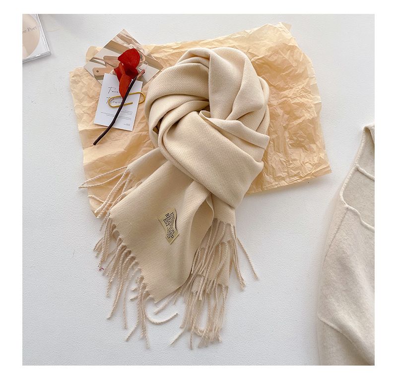 Nuova sciarpa di alta qualità 2025, versione coreana invernale da donna, versatile, in imitazione cashmere, calda, tinta unita, spessa, morbida, cerata, bifacciale_voghion.com