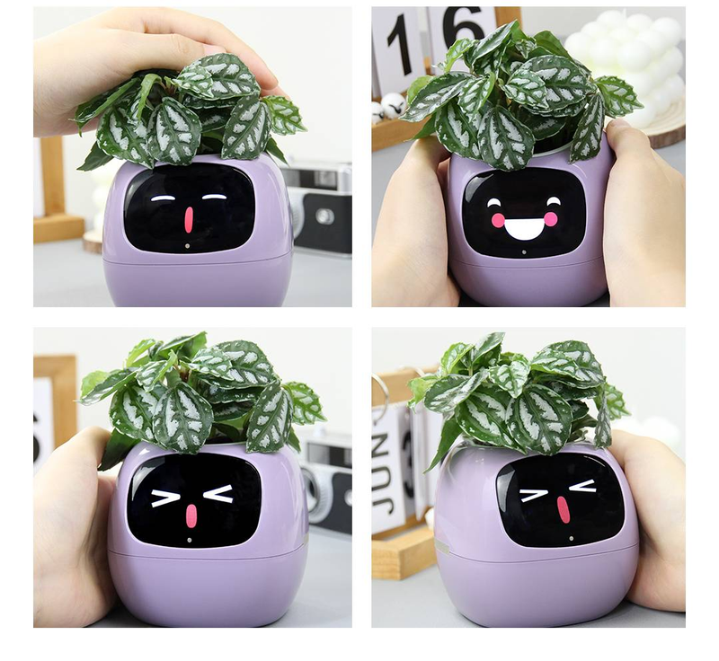 Smart Pet Planter Robot Guidance On Plant Care With Emojis, Adorable Plant Companion With Rich Gesture Interaction, Neat Desk Setup Gift (Yellow)_voghion.com