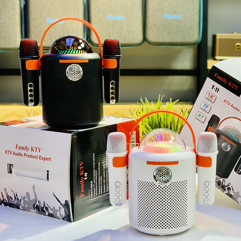 Tragbarer Bluetooth-Lautsprecher, hohe Lautstärke, Dual-Mikrofon, bunte Außenbeleuchtung, Familien-Karaoke mit 2 Mikrofonen_voghion.com