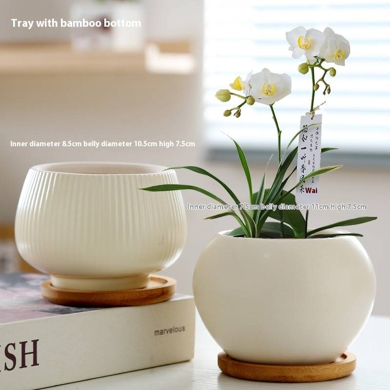 Keramik-Blumentopf mit Untertasse – Stilvolles Wohndekor für Sukkulentenpflanzen – Modernes und elegantes Design_voghion.com