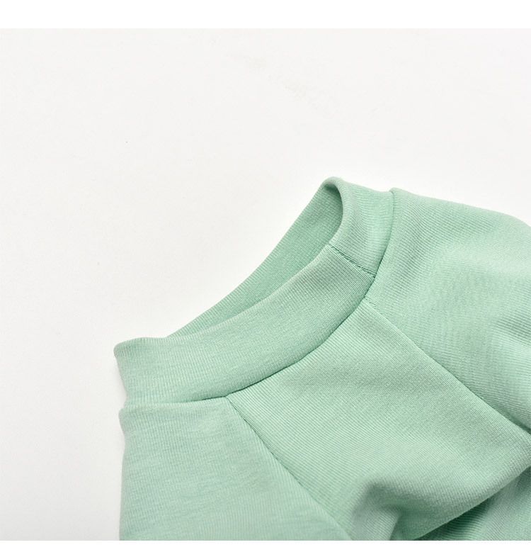 Nuovo orsacchiotto per cani, abbigliamento a due zampe per autunno e inverno, abbigliamento per gatti_voghion.com