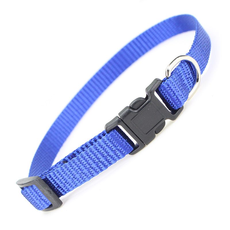 Collare per gatti in nylon tinta unita con cinturino per cani e gatti_voghion.com