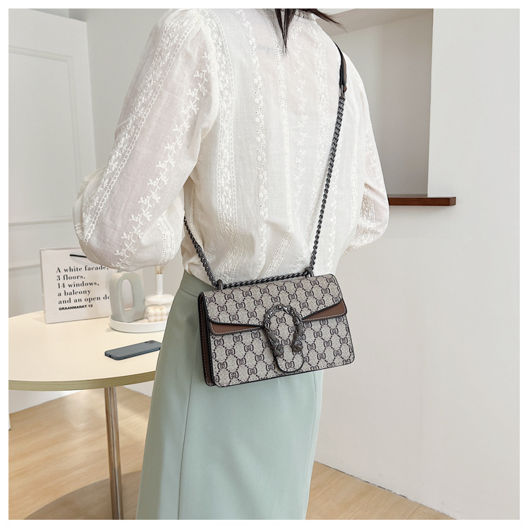 Fashionable Dionysian Bag For Women 2024 New Retro Printed Chain Bag Popular Armpit Bag Diagonal Shoulder Small Square Bag_voghion.com