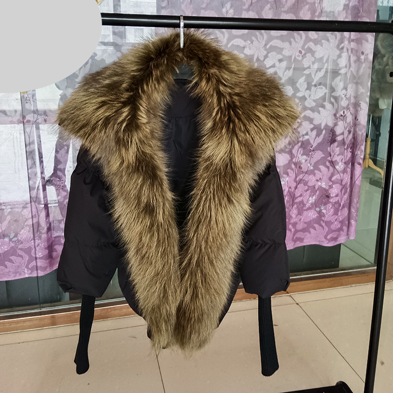 Abbigliamento da donna Giacca calda invernale da donna in vera pelliccia di procione con collo in vera pelliccia_voghion.com