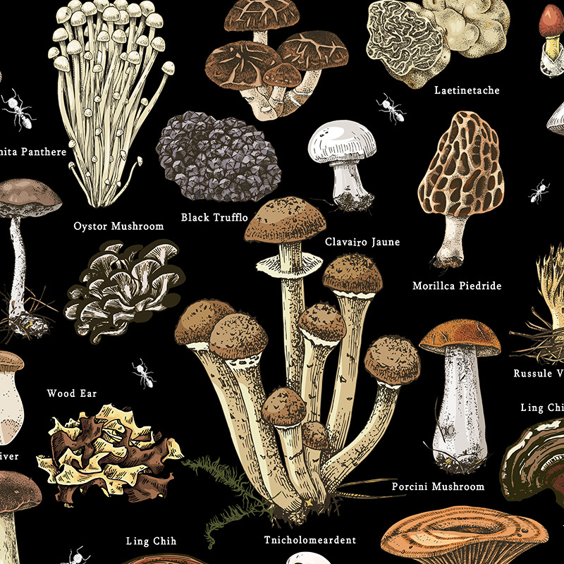 Mushroom hanging cloth, bedroom background cloth layout, live broadcast background fungi - G_voghion.com