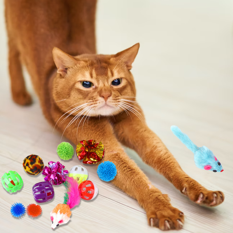 Guangying 14Pcs Cat Toys Fish Mouse Balls Catnip Toy Interactive Toy Cat Teaser Feather Toys Pet Leisure Toys_voghion.com