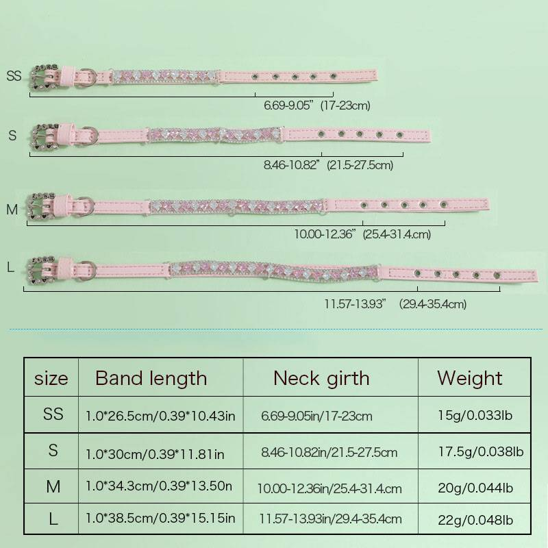 Pet supplies collar traction rope collar set cat necklace small and medium sized dog collar collar accessories_voghion.com