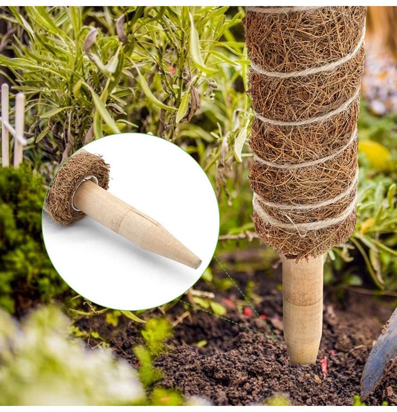 Plant Vine Traction Climbing Column, Natural Coconut Palm Rod 30cm/40cm/50cm, Can Be Freely Combined And Spliced_voghion.com