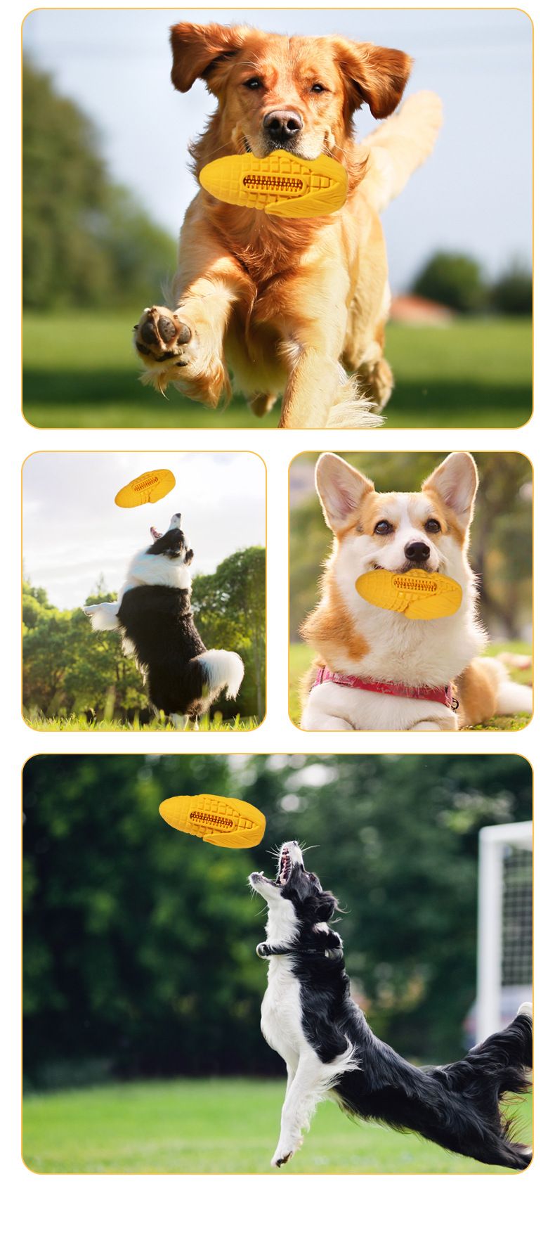 Jouet vocal pour chien, bâton molaire résistant aux morsures de maïs charnu, saveur bacon, jouet pour animaux de compagnie_voghion.com