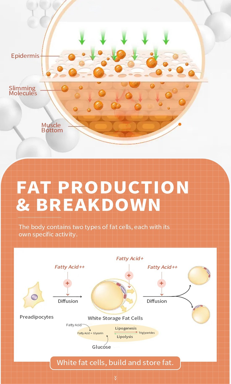 MeiYanQiong Body Slimming Cream Remove Belly Thigh Body Fat Keep Body Body Firming Belly lose Cream Slimming Cream 40g_voghion.com