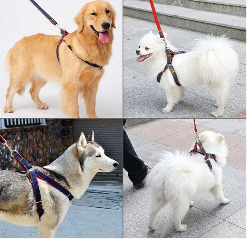 Dog Leash, Adjustable Collar, Denim Fabric Set, Lead Vest Small, Medium, Large Pets, Base For Walks And Training By PawParty Store_voghion.com