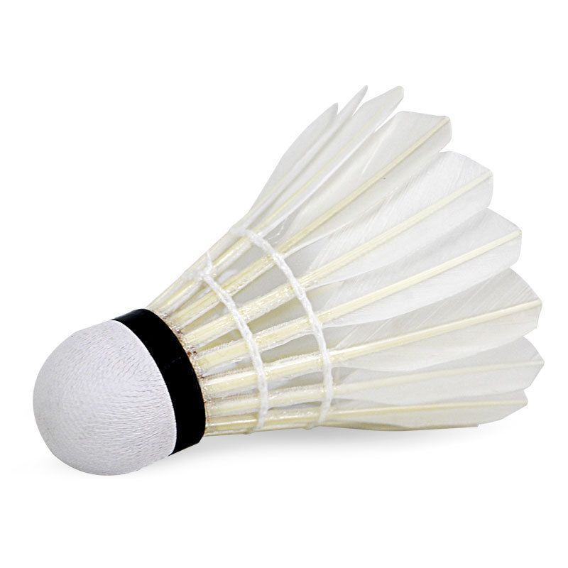 Yashilong RSL Upgraded Enhanced Badminton Asia 5S Stable Durable 77/76 Duck Feather Shuttlecock RSL5S_voghion.com