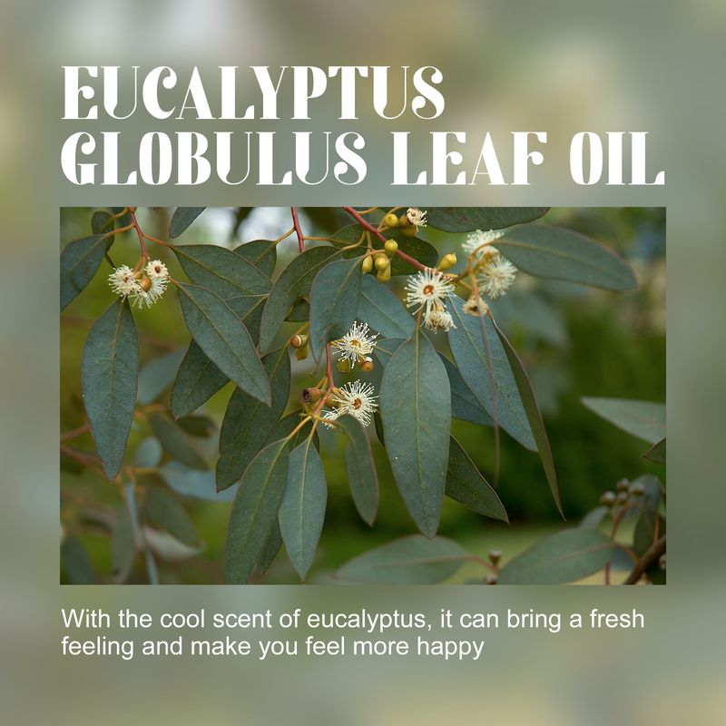 OceAura Eucalyptus Essential Oil, Body Care Massage Push Back Spa Essential Oils Moisturize And Firm Skin_voghion.com