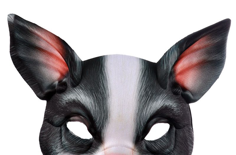 Halbgesichtsmaske für Halloween, Karneval, Party, Tanz, Verkleidung, lustige Tierschweinmaske_voghion.com