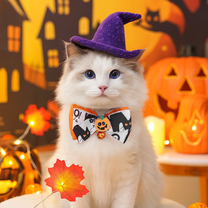 Decorazione per gatti di Halloween, divertente collezione di collari per cuccioli con zucca luminosa_voghion.com