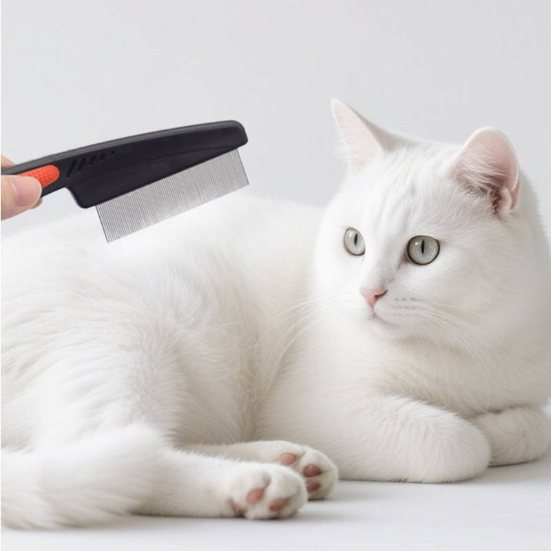 Pet Supplies Cat And Dog Specific Comb_voghion.com