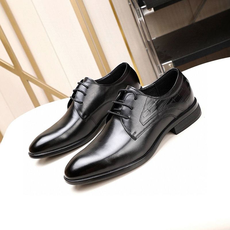 TerraStride High-End Business Top Layer Rindsleder Formales Leder 2025 Neuer britischer Trend Spitz zulaufende Herren-Einzelschuhe_voghion.com