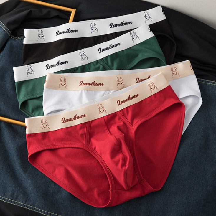 Roupa íntima e pijamas Boxer de algodão com cintura média e antibacteriano_voghion.com