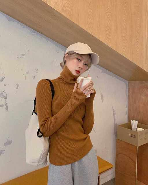 Dame haugevis av krage Turtleneck gensere Høst Vinter Slank Pullover Dame Basic Overdeler Uformell Myk strikket Genser Myk Varm Genser_voghion.com