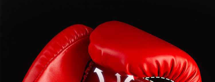 Guantoni da boxe professionali Sanda Fighting, guantoni da boxe con sacco di sabbia, per uomini e donne, per allenamento, adulti e bambini._voghion.com