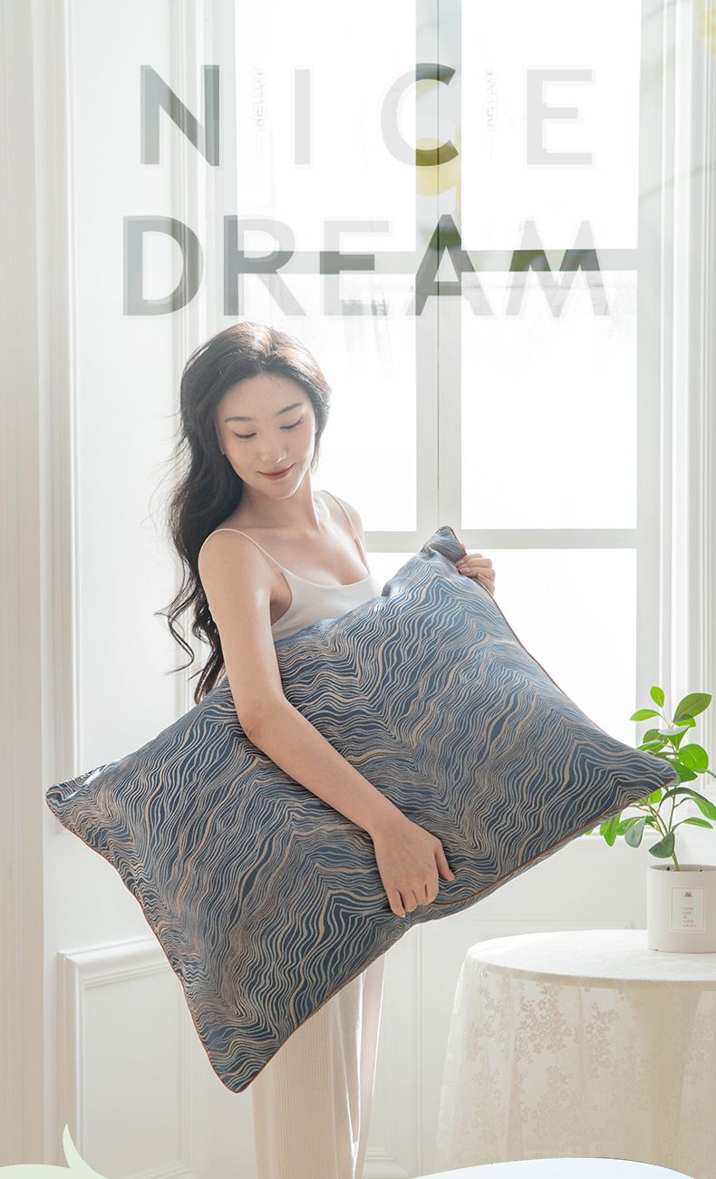 Embroidered Throw Pillow Covers Large Bay Window Hotel Model Room Cushion Covers No Insert Included Premium Fabric Stylish Sofa Backrest 24x24 Inches_voghion.com
