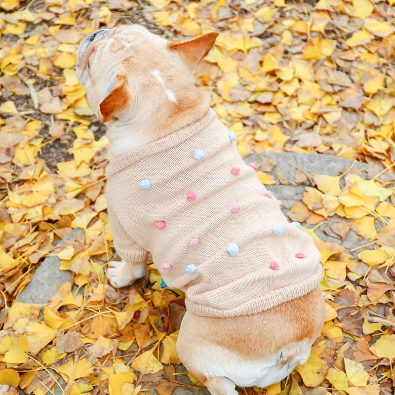 Pet Circle Katzenkleidung, Rentierpullover für dicke Hunde, französische Bulldogge_voghion.com