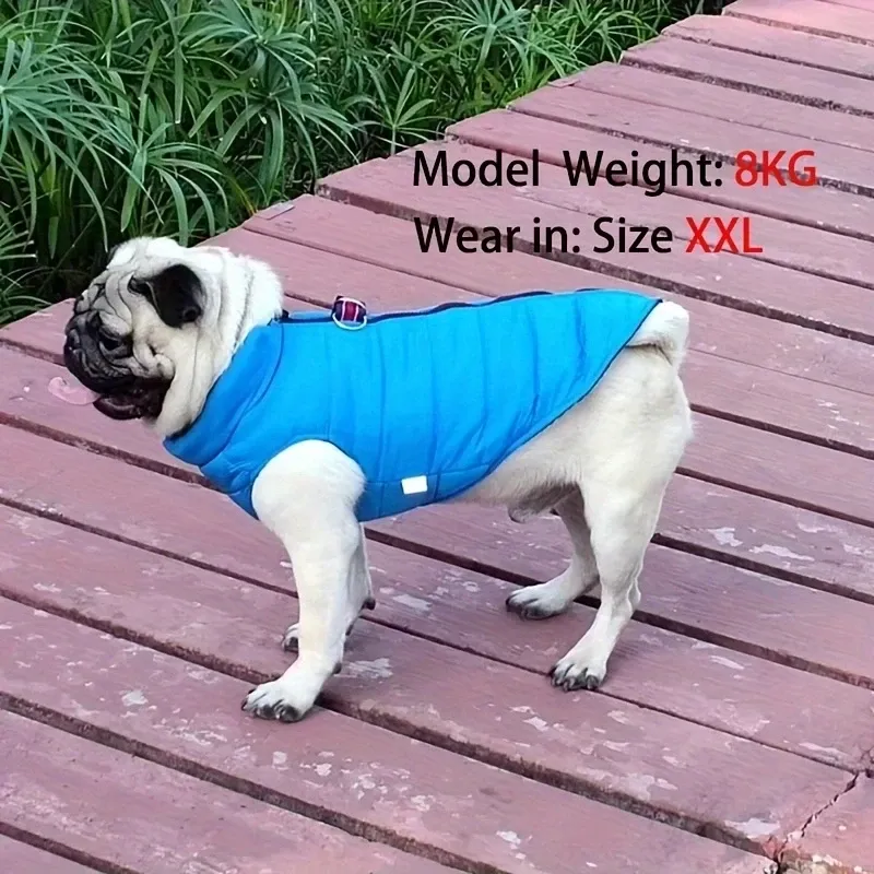 PetMundo Warm Windproof Jacket For Small Dogs By PawParty Store_voghion.com
