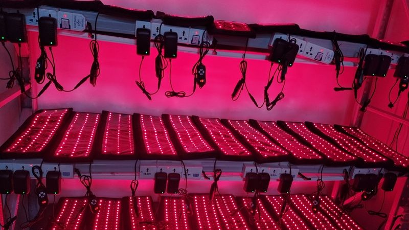 Lampada a luce rossa per ginocchio, spalla, tutore per fisioterapia a infrarossi, riscaldamento elettrico_voghion.com