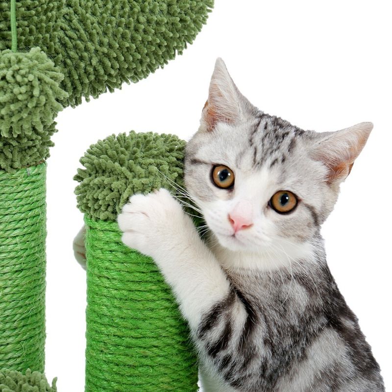 Pet Supplies Cute Cactus Tree Pet Cat Toy With Ball Scratching Post_voghion.com