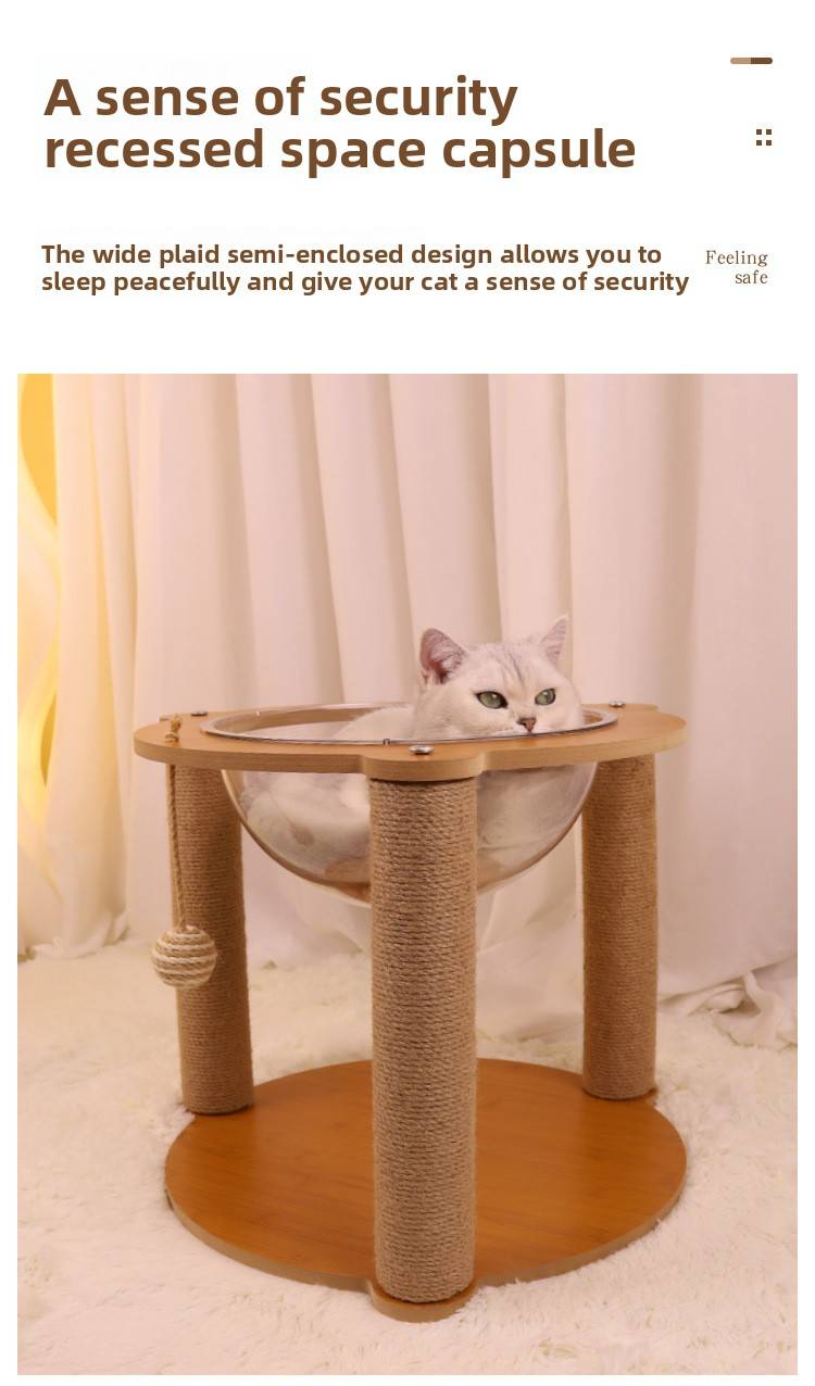Piccola capsula spaziale in acrilico per gatti, struttura per arrampicata per gatti, tiragraffi per gatti, albero per gatti, cuccia integrata per gatti, tiragraffi per gatti, gabbia per gatti_voghion.com
