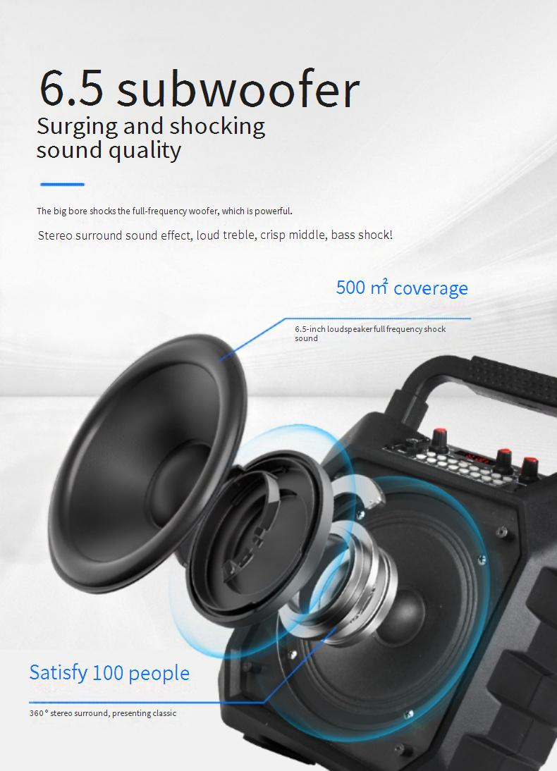 Portable Speakers With Sound Card Effect Outdoor Karaoke Microphone Integrated Bluetooth Speaker_voghion.com