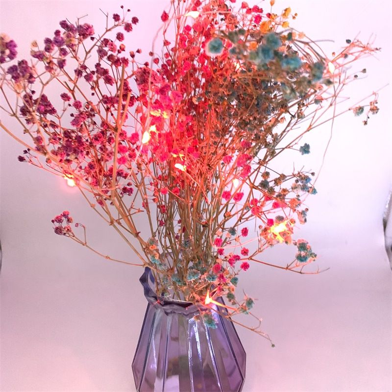 Copper Wire LED String Lights With CR2032 Battery - 10/20/30/50 LEDs For Flowers, Cakes, Gifts_voghion.com